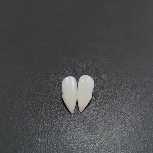 Dentaduras de Vampiro y Zombie para Halloween - Image 2