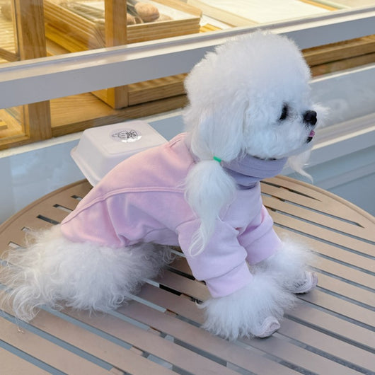 Playera de Bloques de Color para Mascotas - Ropa Cómoda para Perros - Image 11