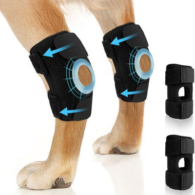 Arnés de Soporte para Patas Traseras en Perros - Image 6