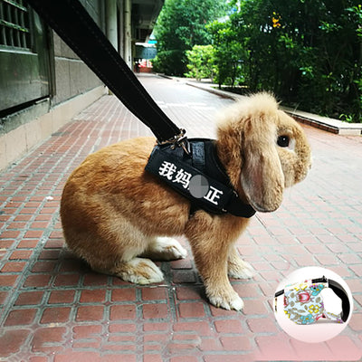Chaleco de Arnés para Mascotas con Cuerda de Tracción - Image 2