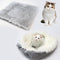 Cama de Terciopelo para Gatos Coreana Premium