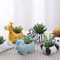 Maceta Decorativa de Animales Divertidos para Suculentas