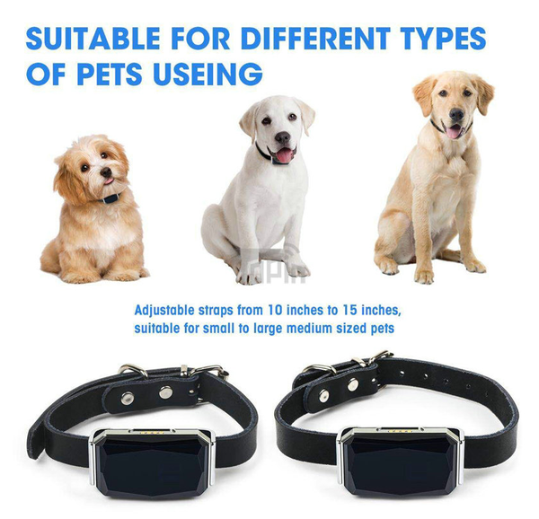 Localizador GPS para Mascotas