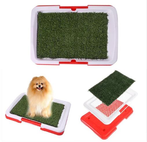Bandeja de Entrenamiento para Perros con Césped Artificial - 3 Capas Absorbentes