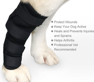Mallas Protectoras para Perros - Prevención de Lesiones y Lamidos - Image 6