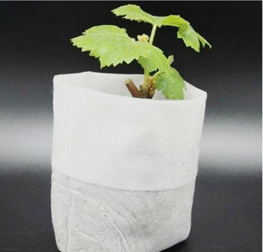 Bolsas de Cultivo No Tejidas para Plantas y Semillas - Image 9