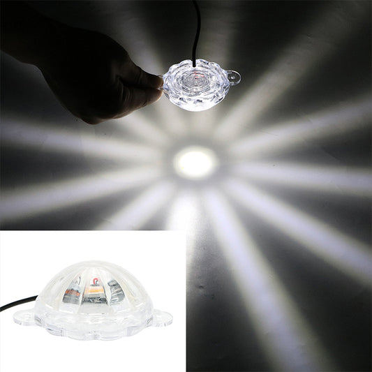 Kit de Iluminación LED Ambiental para Motocicleta