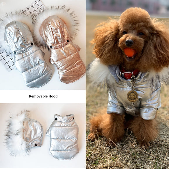 Ropa Térmica para Perros