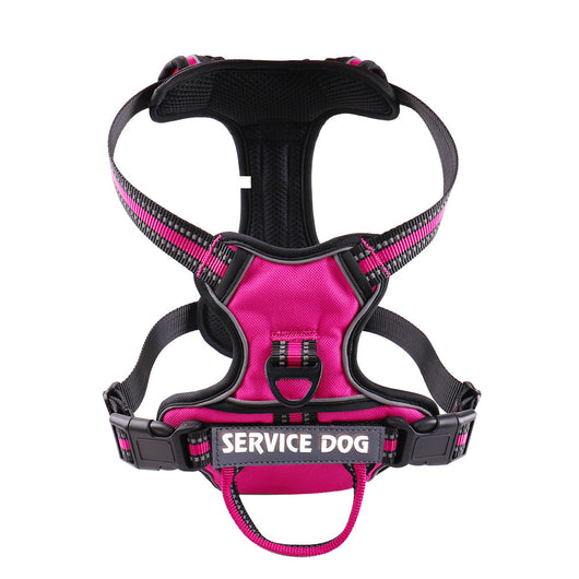 Arnés Personalizado para Perro en Tela Oxford - Image 8