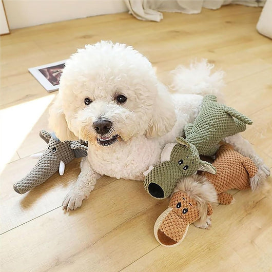 Juguete Masticable Indestructible para Perros Grandes - InvenciPaw - Image 14