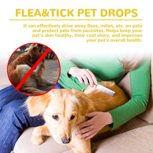 Champú Antiparasitario para Perros y Gatos - Control de Pulgas, Garrapatas y Piojos - Image 9