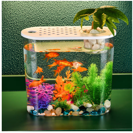 Pecera Ecológica de Acrílico Transparente para Peces de Agua Fría - Image 9