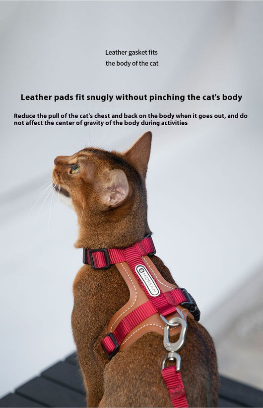 Arnés de Tracción en I para Gatos - Chaleco Pectoral y Dorsal - Image 11
