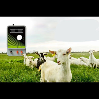 Amplificador de Energía para Cerco Eléctrico con Pantalla Dual - Image 8
