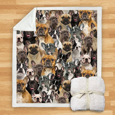 Manta Franela Estampada para Perros - Image 38