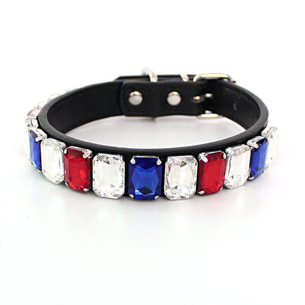 Collar Sólido para Perro con Cadena de Calidad Premium