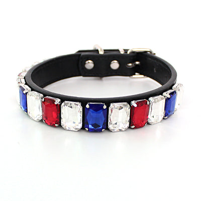 Collar Sólido para Perro con Cadena de Calidad Premium - Image 2
