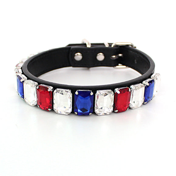 Collar Sólido para Perro con Cadena de Calidad Premium