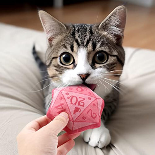 Juguete Interactivo de Catnip con Dados DND para Gatos - Regalo Mágico para Amantes de Gatos