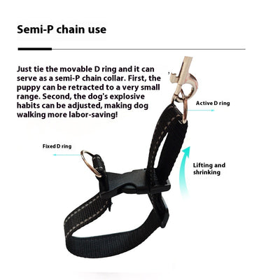 Correa Portátil con Asidero para Perros - Collar de Paseo Seguro - Image 32