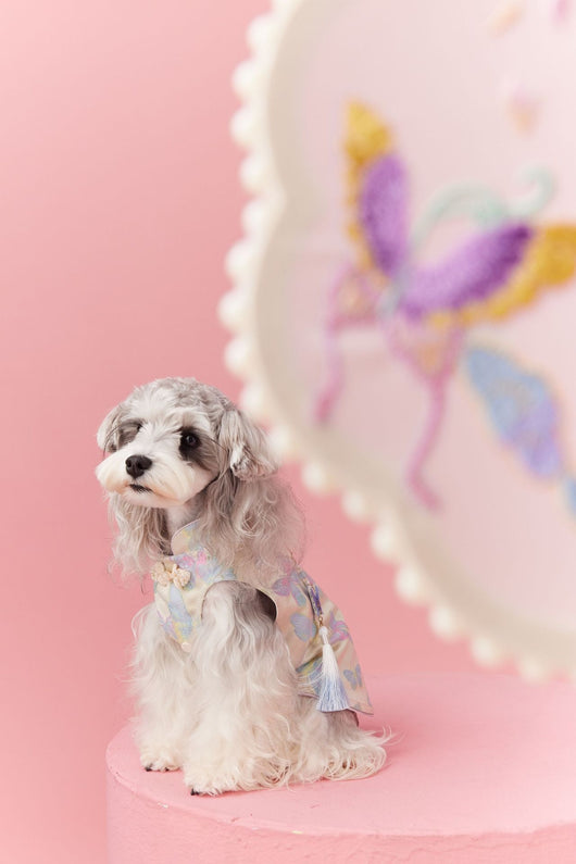 Chaleco Cheongsam Estilo Neo-Chino para Mascotas Pequeños - Schnauzer y Bichón - Image 39