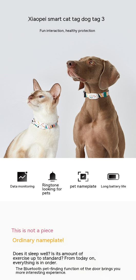 Collar Inteligente de Monitoreo de Actividad para Mascotas - Image 14