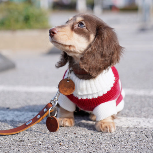 Suéter Abrigado para Perros Pequeños y Gatos - Tejido Grueso y Cálido - Image 9