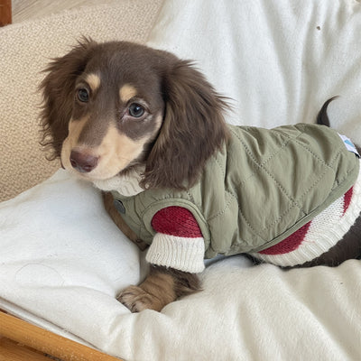 Suéter Abrigado para Perros Pequeños y Gatos - Tejido Grueso y Cálido - Image 16