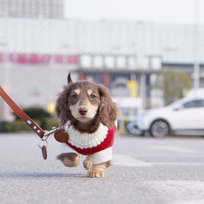 Suéter Abrigado para Perros Pequeños y Gatos - Tejido Grueso y Cálido - Image 23