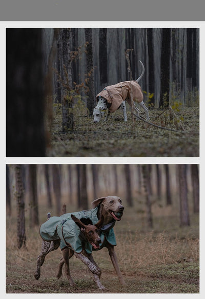 Chaqueta Impermeable para Perros - Abrigo Softshell Cálido y Resistente al Viento - Image 9