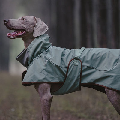 Chaqueta Impermeable para Perros - Abrigo Softshell Cálido y Resistente al Viento - Image 11