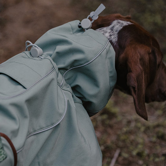 Chaqueta Impermeable para Perros - Abrigo Softshell Cálido y Resistente al Viento - Image 13