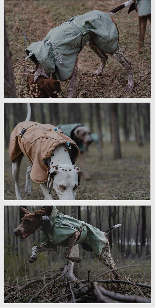 Chaqueta Impermeable para Perros - Abrigo Softshell Cálido y Resistente al Viento - Image 21