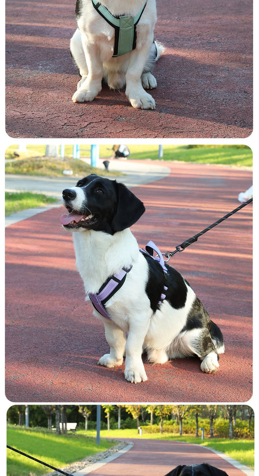 Arnés Reflectante para Perro con Cuerda de Control y Correa Antitirones - Image 18