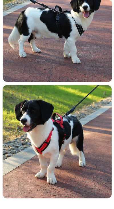 Arnés Reflectante para Perro con Cuerda de Control y Correa Antitirones - Image 19