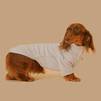 Abrigo Base para Perros Salchicha - Protección y Comodidad - Image 11