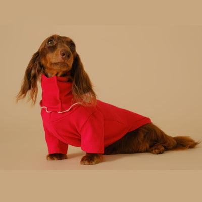 Abrigo Base para Perros Salchicha - Protección y Comodidad - Image 12
