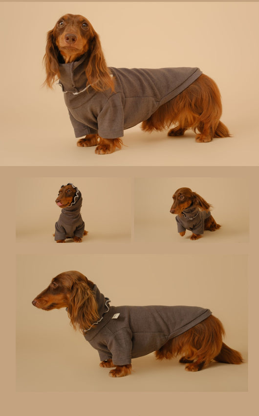 Abrigo Base para Perros Salchicha - Protección y Comodidad - Image 14