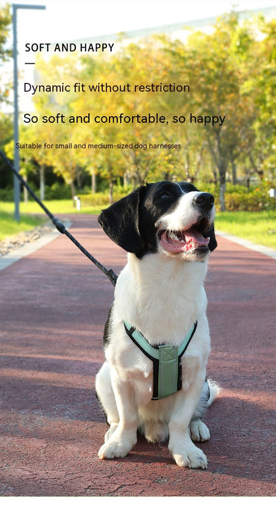 Arnés Reflectante para Perro con Cuerda de Control y Correa Antitirones - Image 20