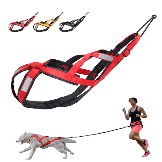 Arnés de Tracción para Perros con Carrito Remolque - Image 11