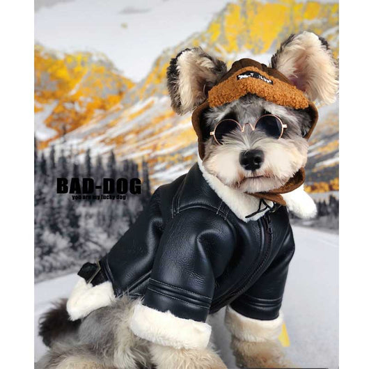 Abrigo de Lujo para Perros Otoño Invierno con Pelaje Grueso - Image 8