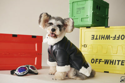 Abrigo de Lujo para Perros Otoño Invierno con Pelaje Grueso - Image 10
