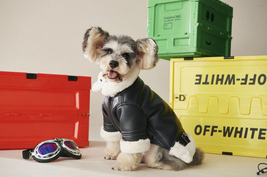 Abrigo de Lujo para Perros Otoño Invierno con Pelaje Grueso - Image 10