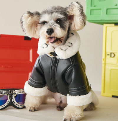Abrigo de Lujo para Perros Otoño Invierno con Pelaje Grueso - Image 11