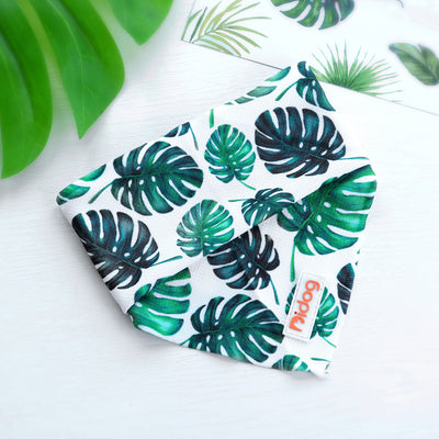 Pañuelo Suave de Algodón para Perros - Image 15