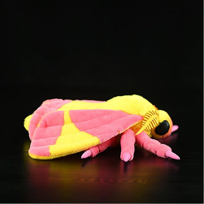 Peluches de la Serie Original de Insectos - Image 12