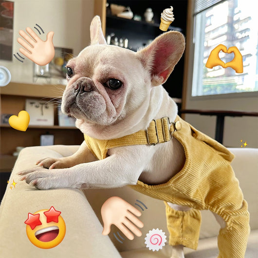 Mono Tipo Pana para Mascotas con Bolsillos Tridimensionales - Image 25