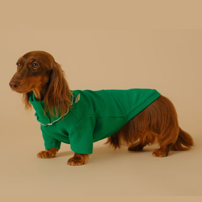 Abrigo Base para Perros Salchicha - Protección y Comodidad - Image 23