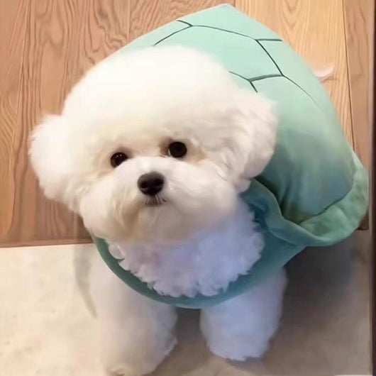 Chaleco Caparazón de Tortuga - Ropa Divertida para Mascotas - Image 8