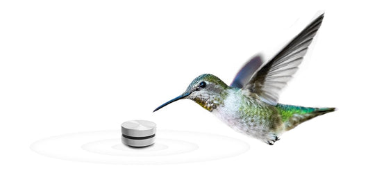 Altavoz de Conducción Ósea Hummingbird - Bluetooth TWS Inalámbrico - Image 42